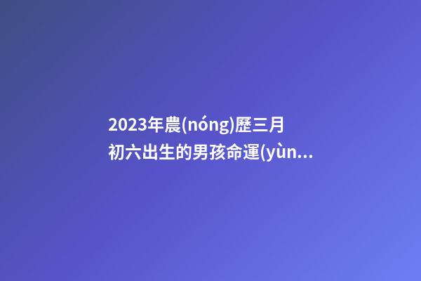 2023年農(nóng)歷三月初六出生的男孩命運(yùn) 今日五行缺火周易取名